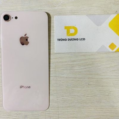 Kính lưng iPhone 8G